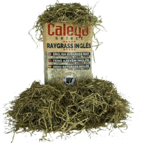 FENO SELECT HAY SECO RAYGRASS INGLÊS (AZEVÉM) - FARDO 80 LT